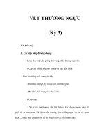 VẾT THƯƠNG NGỰC (Kỳ 3) pdf