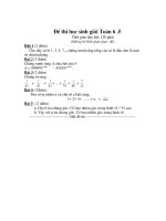Đề-Đáp án HSG Toán 6 Y6.5