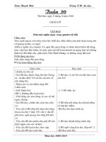 Giáo án L4 Tuần 30 CKTKN CT2buôi/ngày