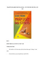 sáng kiến kinh nghiệm luật dân sự đại học – bài 1 khái niệm luật dân sự việt nam