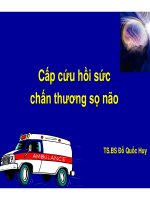 Bài giảng Cấp cứu hồi sức chấn thương sọ não (Phần 1) doc