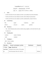 Giáo án Anh văn lớp 11 - Unit 10 - Period 80 pps