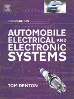 Automobile Electrical and Electronic Systems P1 pot