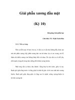 Giải phẫu xương đầu mặt (Kỳ 10) ppsx