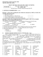 Đề thi HSG Anh khối 12 vòng trường 2010 pptx