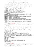 Đề cương Ôn tập HKII môn Toán7 - Lý9