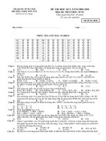 Bài KT số 4 lớp 10 NC cực hay