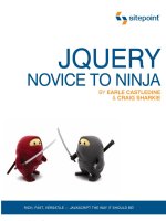 JQuery: Novice to Ninja- P1 pps
