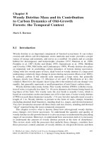 Springer Old Growth Forests - Chapter 8 doc