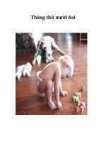 Tháng thứ mười hai pps