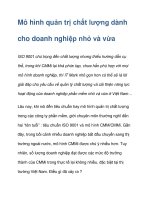 Mô hình quản trị chất lượng dành cho doanh nghiệp nhỏ và vừa pps