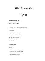 Gẫy cổ xương đùi (Kỳ 2) docx