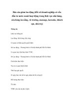 Báo cáo giảm lao động (đối với doanh nghiệp có vốn đầu tư nước nooài hoạt động trong lĩnh vực nhà hàng, cửa hàng ăn uống, vũ trường, massage, karaoke, khách sạn, nhà trọ) potx