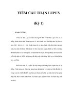 VIÊM CẦU THẬN LUPUS (Kỳ 1) ppsx