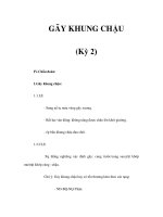 GÃY KHUNG CHẬU (Kỳ 2) pptx