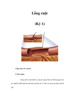 Lồng ruột (Kỳ 1) ppt