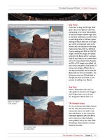 The Adobe Photoshop CS5 Book for Digital Photographers part 7 doc
