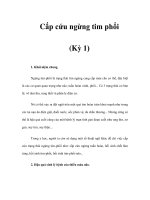 Cấp cứu ngừng tim phổi (Kỳ 1) doc