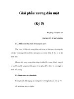 Giải phẫu xương đầu mặt (Kỳ 5) pps