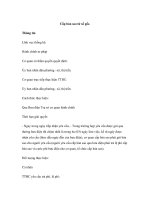 Cấp bản sao từ sổ gốc. pps