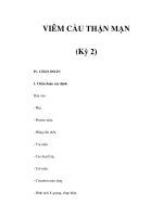 VIÊM CẦU THẬN MẠN (Kỳ 2) pdf