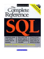 SQL: The Complete Reference by James R. Groff and Paul N. Weinberg pdf