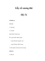 Gẫy cổ xương đùi (Kỳ 3) pot