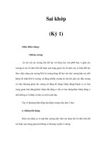 Sai khớp (Kỳ 1) pot