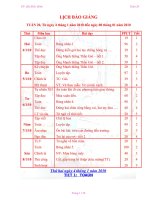 giáo tuần 20 (CKT)