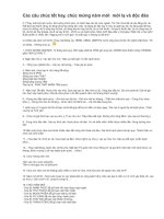 Cac cau chuc tet HOT tren di dong