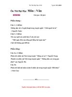 Đề Thi Thử Môn Văn 2010 ( 23/3/2010)