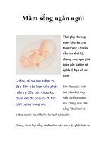 Mầm sống ngắn ngủi doc