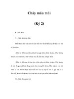 Chảy máu mũi (Kỳ 2) pot