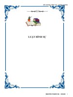 luật hình sự