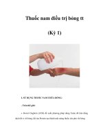 Thuốc nam điều trị bỏng tt (Kỳ 1) ppsx