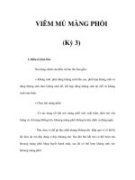 VIÊM MỦ MÀNG PHỔI (Kỳ 3) potx