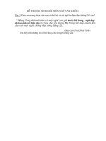 DE THI HOC SINH GIOI VAN 6