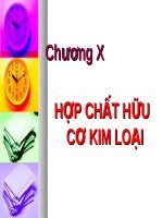 Hợp chất hữu cơ kim loại
