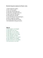 BT Passive voice - 1