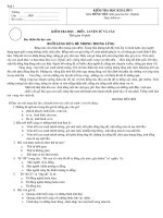 một số đề thi Tiếng việt học kỳ 2 - lớp 5