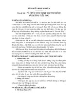 Sinh hoạt sao nhi đồng ở trường TH