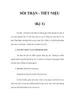 SỎI THẬN - TIẾT NIỆU (Kỳ 1) pdf