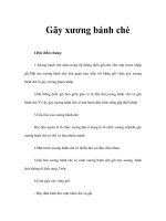 Gãy xương bánh chè ppt