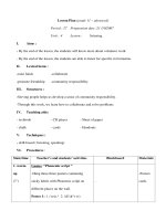 Giáo án Anh văn lớp 11 - Unit 4 - Period 27 pptx