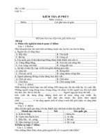 ĐỀ KIỂM TRA SỬ 6 (09-10)