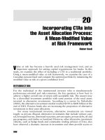 Commodity Trading Advisors: Risk, Performance Analysis, and Selection Chapter 20 pot