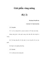 Giải phẫu vùng mông (Kỳ 2) doc