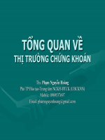 tong quan ve TTCK - P. Nguyen Hoang pps