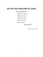 bài tập thực hành môn học kinh tế lượng