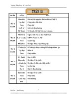 Giao an lop 5 tuan 31 theo KTKN